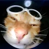 ezekiell.belou