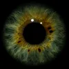 zeynep_13.63