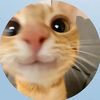 nazila_602