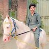 zain.rajput683