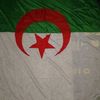 mohamad61565