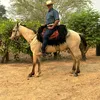 joo.gonalves7292