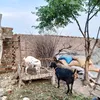 user042885684