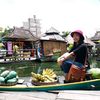 dewi_lobo
