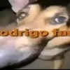 aleatorio1020282