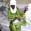 atteb.hassan.yaco