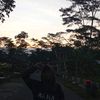 saya_mas_all