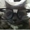 dylancito_rl