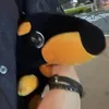 skrbuddies