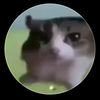 mistergato28