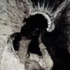 _vanissh_