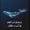 user5046778454043