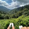 liz_hughes1
