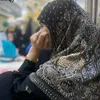 313ali244