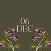 06dec.ae