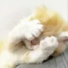 whwhwhwhwhwhwhwhww