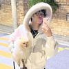 yechan82major
