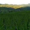 pan_hang01