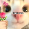 zakie_001