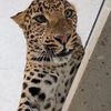 hanen.mohammed52