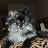 tonya.hinshaw