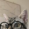 user_apaajalah