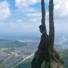 vibealone14