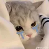 hndffg