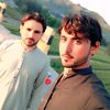 safi8789