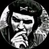 user4491263552218