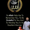 shab8830