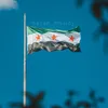 mostafa_m847