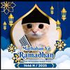 alif.fadilah7