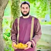 ehsan.dawlatzai1