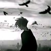 zeroandsky223