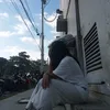 lhissdiayss