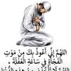 fatma.terchan