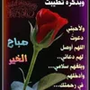ali..ali455