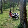 vega_rzk