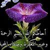 mahamd.ahmed1