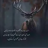ali388309