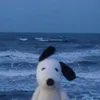 zyrinzz