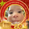 kiagkuc_456