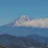 junjun37501