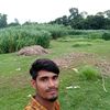 alam80574