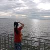 coconut_2637