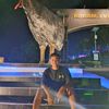 alipmst_22