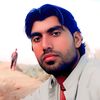 qurban.ali7973
