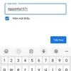 user4545306168467