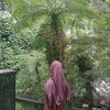 nazifa.rahimah